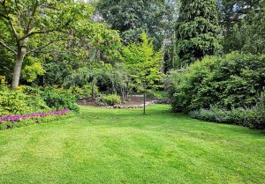 Optimiser l'expérience du jardin à Cuse-et-Adrisans